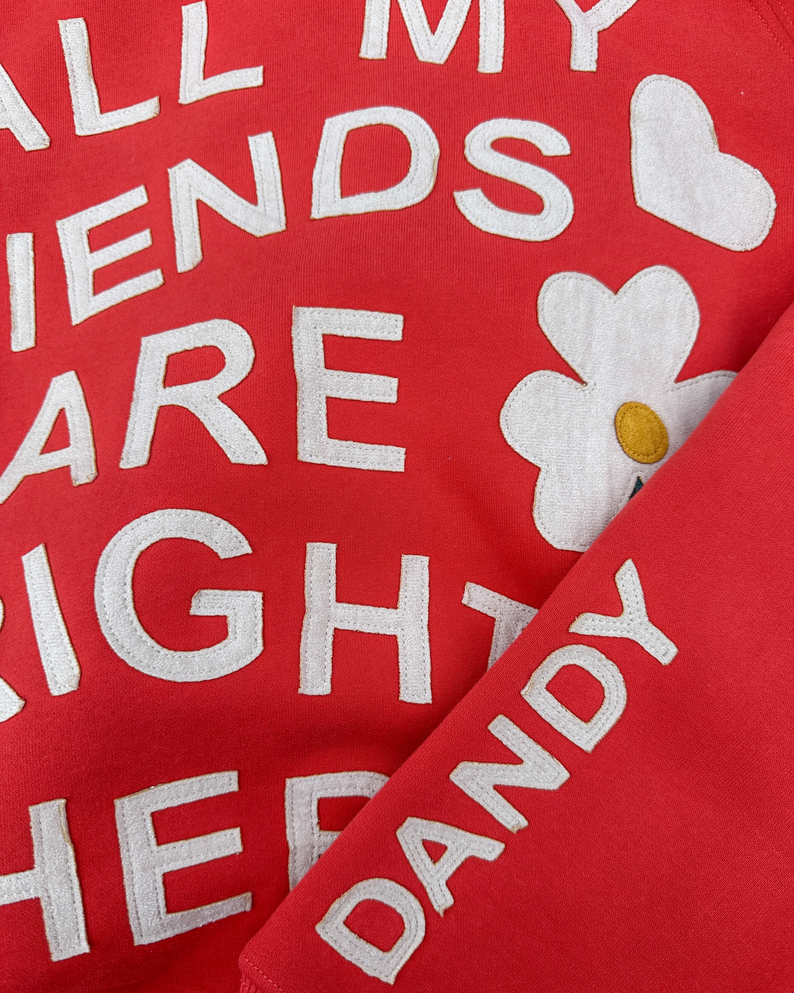 "All my Friends" Oversized Lux Hoodie in Red - Image 3