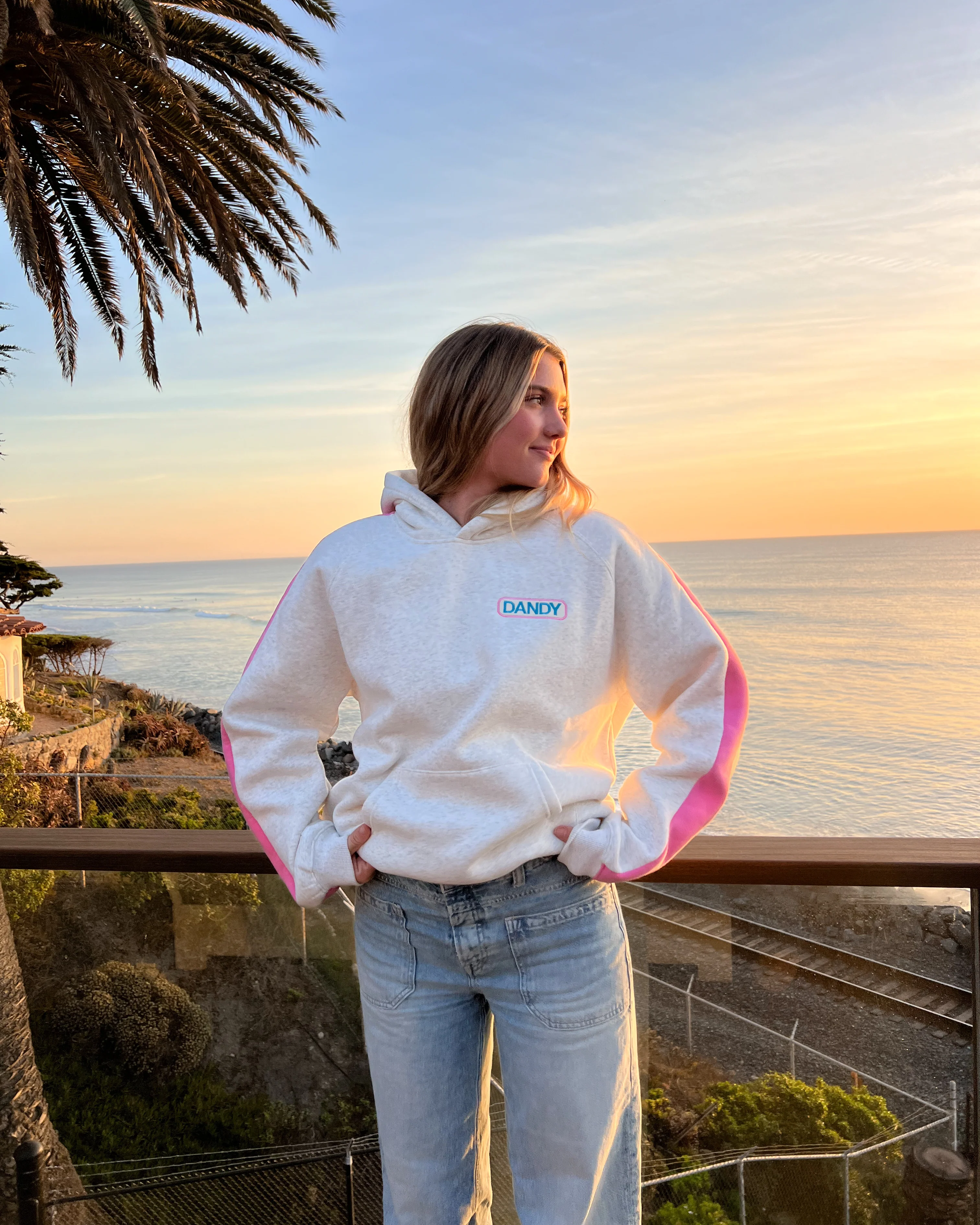 Pink Stripe Oversized Lux Hoodie - Image 12